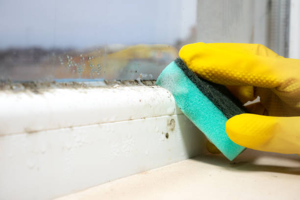Best Mold Remediation for Schools in Hellertown, PA
